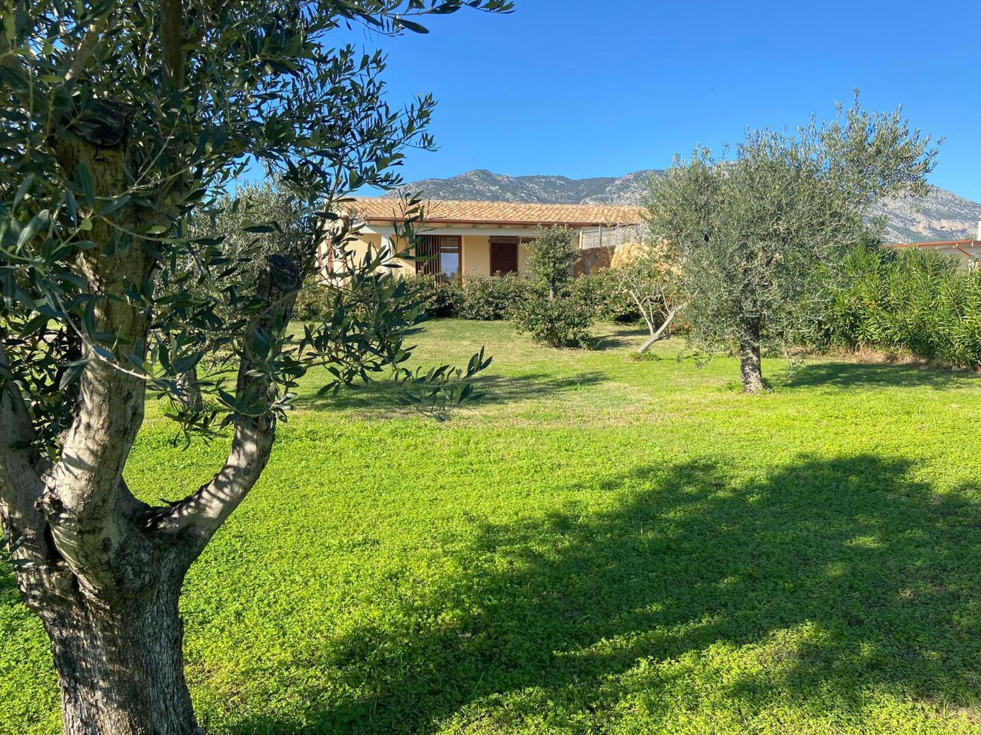 Villa Aratha Orosei Exteriör bild